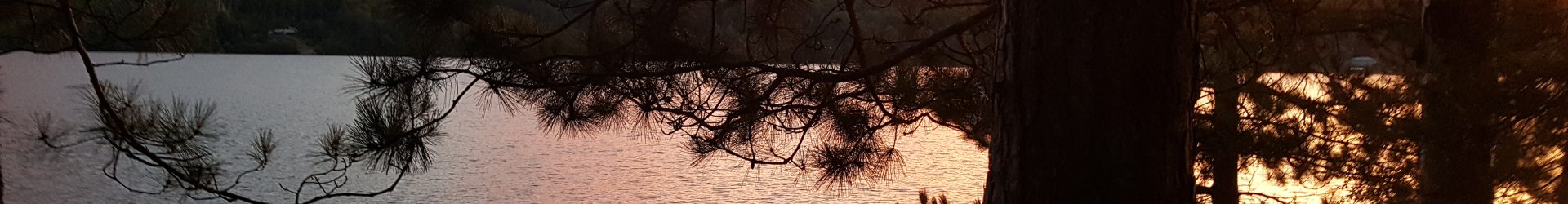 Images from Trout Lake 2017