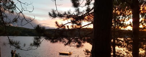 Images from Trout Lake 2017