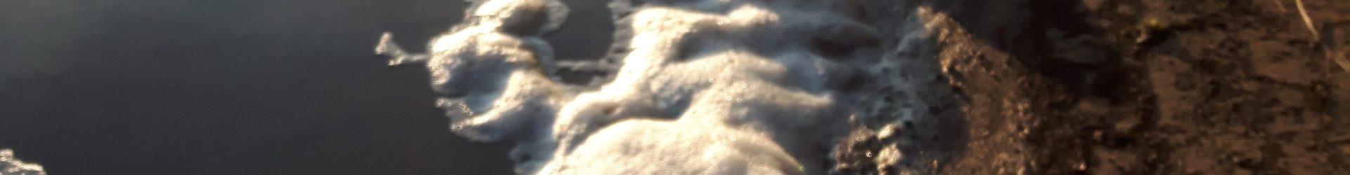 Lake Foaming
